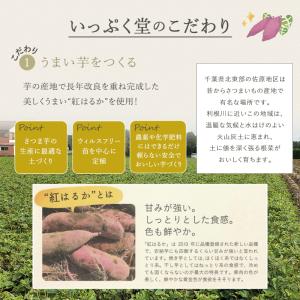 いっぷく堂 干し芋 はるかさん 100g 2袋...の詳細画像3