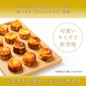 香のか ミニバスクチーズケーキ 4個入り 1箱...の詳細画像1