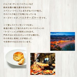 香のか ミニバスクチーズケーキ 4個入り 1箱...の詳細画像4