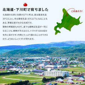ふるさとの元気 トマトジュース 食塩無添加 5...の詳細画像4