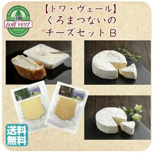 チーズ セット B トワ・ヴェール 5種 クリームチーズ ゴーダ カマンベール ホワイトブルーチーズ トワヴェール 北海道 敬老の日