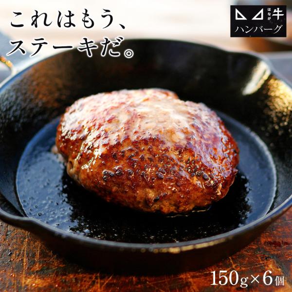 ゆうぼく ハンバーグ ステーキ はなが牛ハンバーグ 150g 6個入 歯長牛 牛肉 肉 牛肉100％...