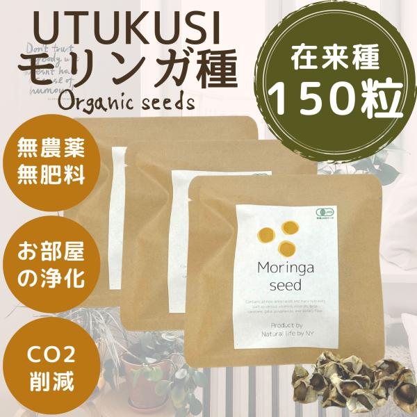 モリンガ 種 30g 約150粒 在来種 固定種 無農薬 苗 家庭菜園 ガーデニング 観葉植物 CO...