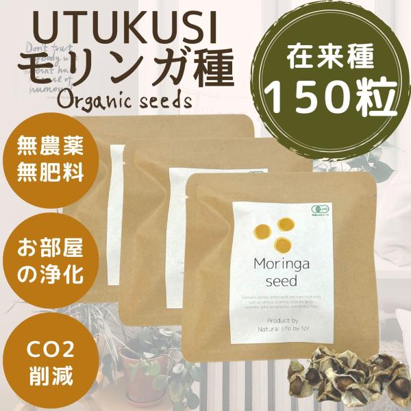 モリンガ 種　約150粒　在来種　無農薬　無肥料　ハーブ　浄化　苗　フィリピン産　栽培用　観賞用　二...