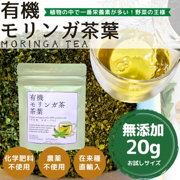 モリンガ茶 有機 茶葉 20g お試し ティーバッグ ノンカフェイン 無農薬 無添加 健康茶 食物繊...