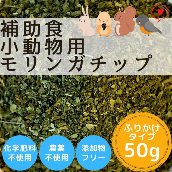 モリンガチップ　50g　飼料　鳥類　ペット用 高栄養　フード　インコ  文鳥 大型インコ うさぎ ハ...