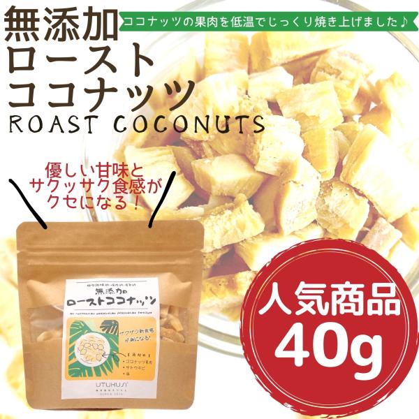 ローストココナッツ 40g お試し ココナッツチップス 無添加 砂糖不使用 ノンフライ グルテンフリ...