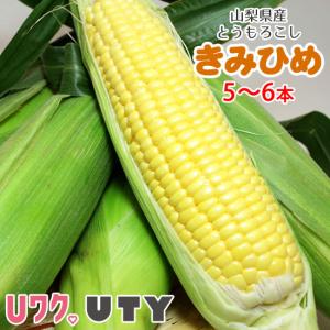 とうもろこし きみひめ 5〜6本 スイートコーン 旬果市場