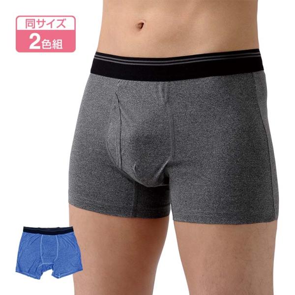 テイジン 快適パンツ「ファインセーブ」ボクサーブリーフ 2色組 - 消臭 抗菌 防臭 汗 尿 臭い ...