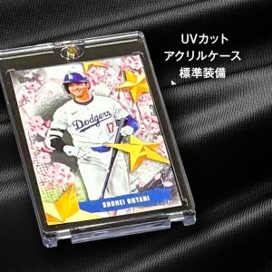 【直送】 STARS OF JAPAN インサ...の詳細画像3