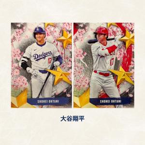 【直送】 STARS OF JAPAN インサ...の詳細画像5