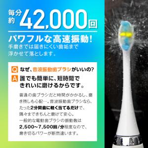 音波振動歯ブラシ・プラジール2 (2台セット)...の詳細画像2