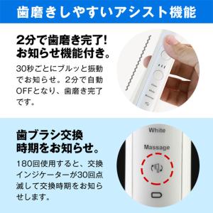 音波振動歯ブラシ・プラジール2 (2台セット)...の詳細画像5