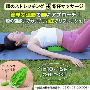 アイソ スパイン iso spain 背中 腰...の詳細画像1