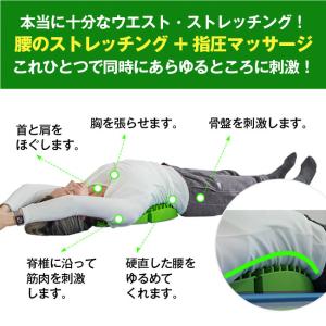 アイソ スパイン iso spain 背中 腰...の詳細画像2