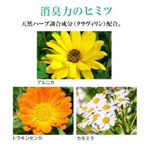 薬用デオドラントクリーム ラヴィリン アンダー...の詳細画像5