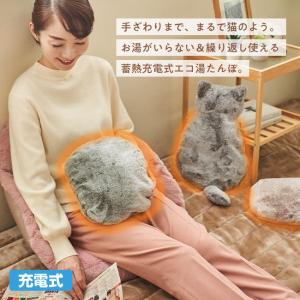 【アウトレット】蓄熱 充電式 エコ 湯たんぽ ...の詳細画像1