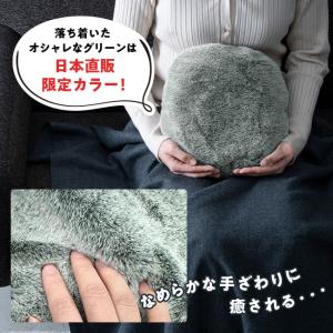 【アウトレット】蓄熱 充電式 エコ 湯たんぽ ...の詳細画像3
