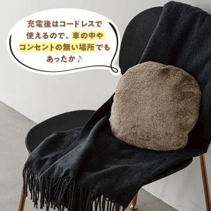 【アウトレット】蓄熱 充電式 エコ 湯たんぽ ...の詳細画像4