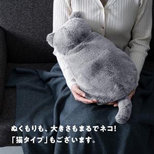 【アウトレット】蓄熱 充電式 エコ 湯たんぽ ...の詳細画像5