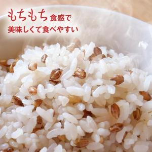 国内産 もち麦セット 国産もち麦 食物繊維豊富...の詳細画像4