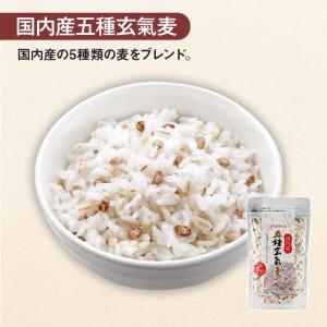 五種元氣6袋セット 五種玄氣米 五種玄氣麦 国...の詳細画像4