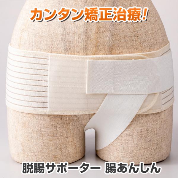 脱腸サポーター 「腸あんしん」 - 脱腸 ベルト サポーター 腸閉塞 腹膜炎 対策 予防 治療 腸 ...