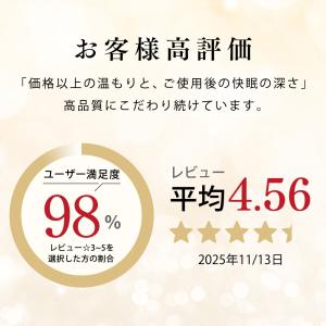羽毛布団 シングル 冬 ダウン90% 掛け布団...の詳細画像4