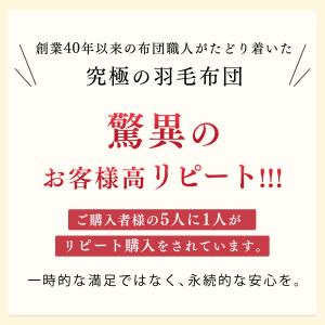 羽毛布団 シングル 冬 ダウン90% 掛け布団...の詳細画像5