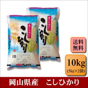 値下げしました！ 米 10キロ 令和7年産 精米 北陸・石川県産 にじの