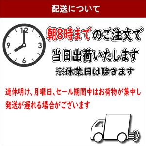 新米 令和8年産 高知県産 こしひかり 10k...の詳細画像4