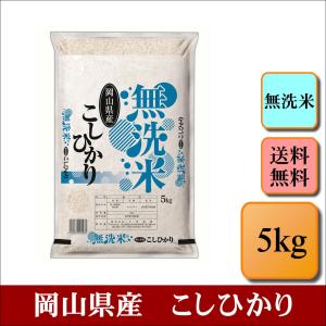 お米 無洗米 こめやのおこめ(エコノミー品) 5kg 米 おこめ 白米 精米
