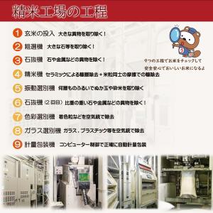お米 無洗米 令和7年産 岡山県産 こしひかり...の詳細画像3