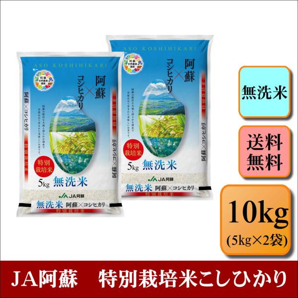 お米　無洗米　令和５年産　ＪＡ阿蘇　特別栽培米こしひかり　10kg(5kg×2袋)　米　おこめ　白米...