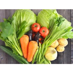 愛媛 百姓にお任せ 朝採れ 旬野菜 8-10品 石鎚山系農地の減農薬野菜 送料無料 宇和海の幸問屋