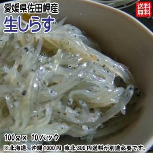 生しらす 1kg （100g×10p） 小分け 冷凍便 愛媛 佐田岬...