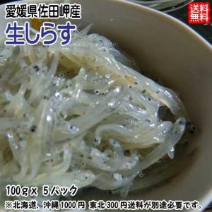 生しらす 100g×5p 小分け 冷凍便 愛媛 佐田岬産 送料無料 浜から直送 無添加・無着色 宇和海の幸問屋
