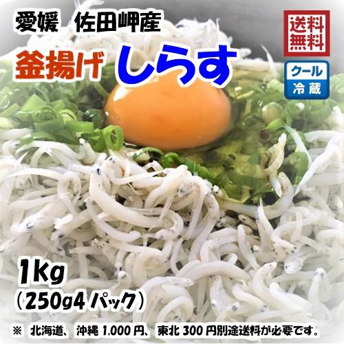 釜揚げしらす 1kg （250g×4p） 愛媛 佐田岬産 冷蔵便 浜から直送 無添加/無着色 送料込...