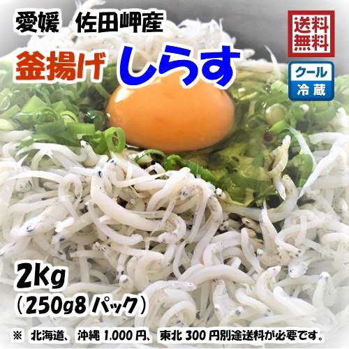 釜揚げしらす 2kg (250g×8p） 冷蔵便 愛媛 佐田岬産 浜から直送 無添加/無着色 冷蔵便...