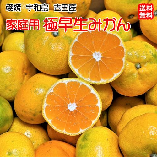 愛媛 みかん 家庭用 （10kg） 宇和島 吉田産 農地直送 送料無料 北海道/沖縄/東北は別途送料...
