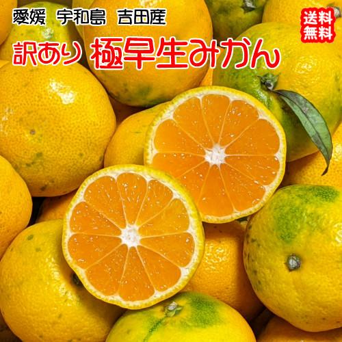 愛媛 みかん 訳あり （10kg） 宇和島 吉田産 農地直送 送料込み 北海道/沖縄/東北は別途送料...