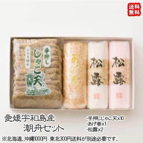 愛媛 宇和島 ( 潮舟 ） 手作り 練り物セット 蒲鉾135g2本 あげ巻250g1本 手押しじゃこ...