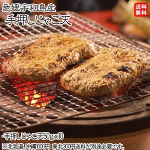 愛媛 宇和島 ( じゃこ天 ） 手作り 手押しじゃこ天50g10枚