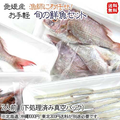 お手軽鮮魚セット 2人前 刺身/煮魚/焼魚用に下処理済み 旬鮮魚 送料込み 浜から直送 宇和海の幸問...