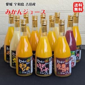 愛工房 ぽんかん ジュース 送料無料 果汁100%ストレート みかん