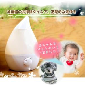 加湿器のお掃除タイム 粉末タイプ 30g×3袋...の詳細画像5