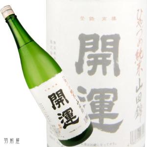 静岡/東海の地酒　開運 ひやづめ純米酒(井酒造場)720ml