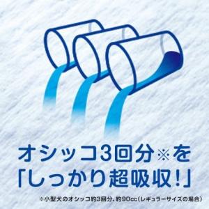 デオシート レギュラーパックワイド36枚/ デ...の詳細画像4