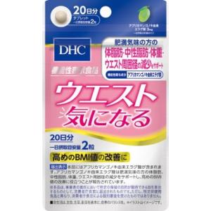 【１２個セット】DHC 肝臓エキス+オルニチン 20日分 肝臓エキス＋オルニチン 20日分（60粒）〔栄養補助食品〕 DHC