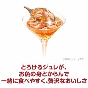 銀のスプーン 三ツ星グルメ ジュレ まぐろ・か...の詳細画像2